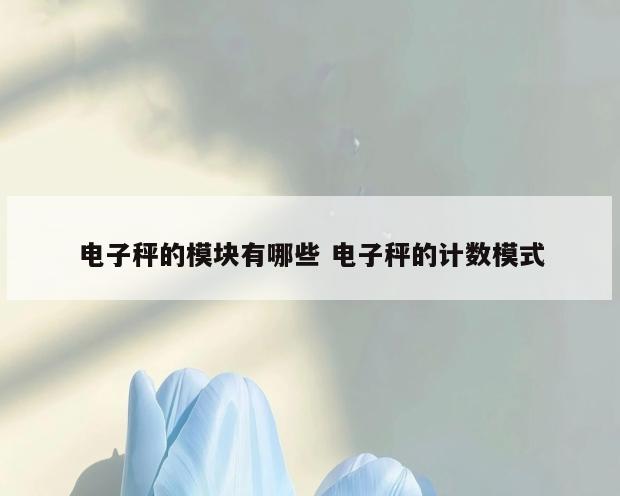 电子秤的模块有哪些 电子秤的计数模式