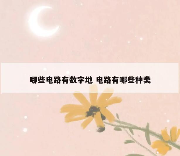 哪些电路有数字地 电路有哪些种类