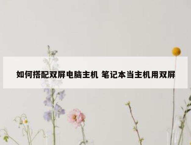 如何搭配双屏电脑主机 笔记本当主机用双屏