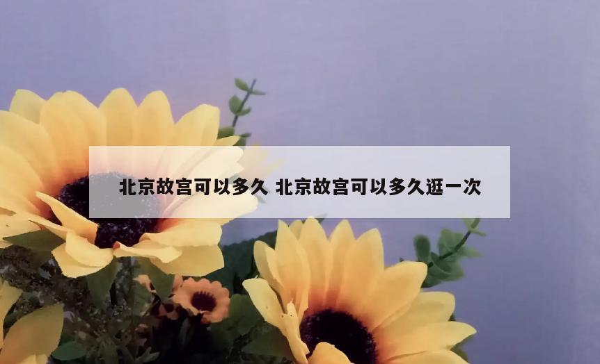 北京故宫可以多久 北京故宫可以多久逛一次