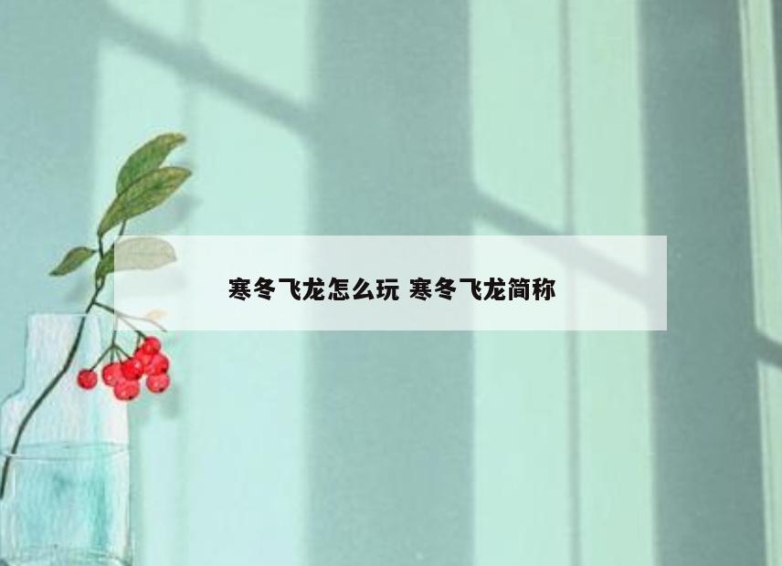 寒冬飞龙怎么玩 寒冬飞龙简称