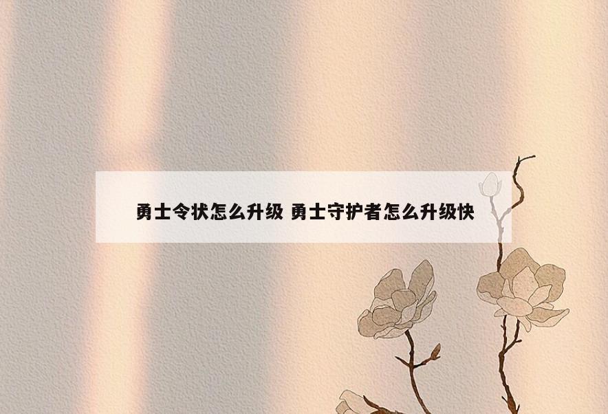 勇士令状怎么升级 勇士守护者怎么升级快