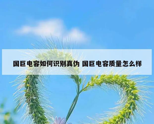 国巨电容如何识别真伪 国巨电容质量怎么样
