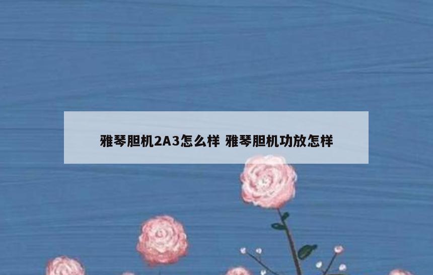 雅琴胆机2A3怎么样 雅琴胆机功放怎样