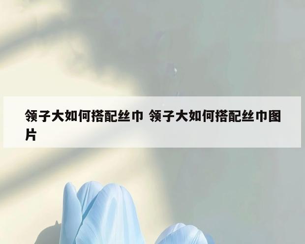 领子大如何搭配丝巾 领子大如何搭配丝巾图片