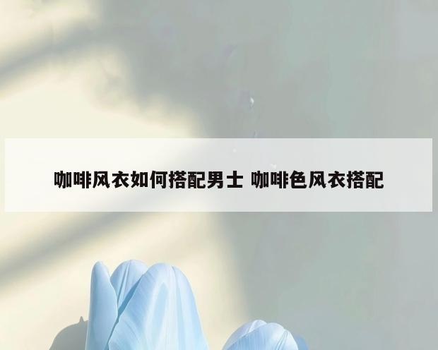 咖啡风衣如何搭配男士 咖啡色风衣搭配