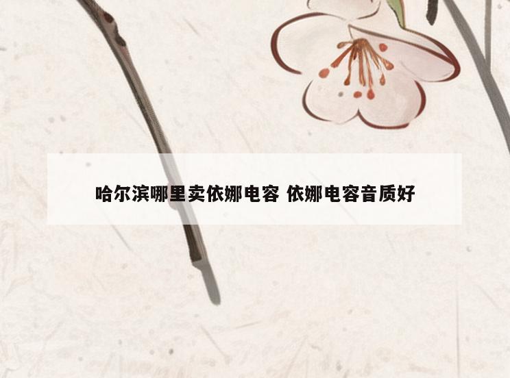 哈尔滨哪里卖依娜电容 依娜电容音质好