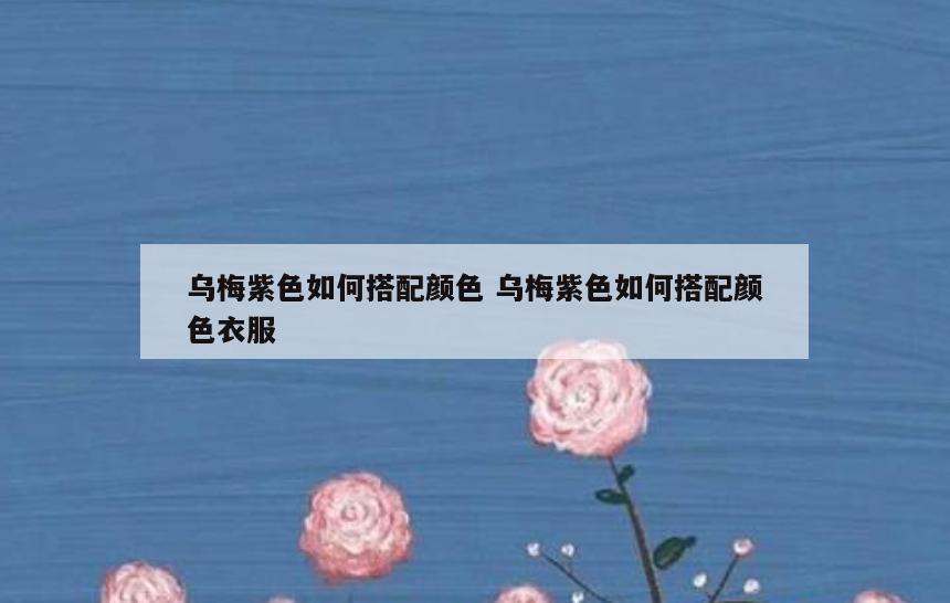 乌梅紫色如何搭配颜色 乌梅紫色如何搭配颜色衣服