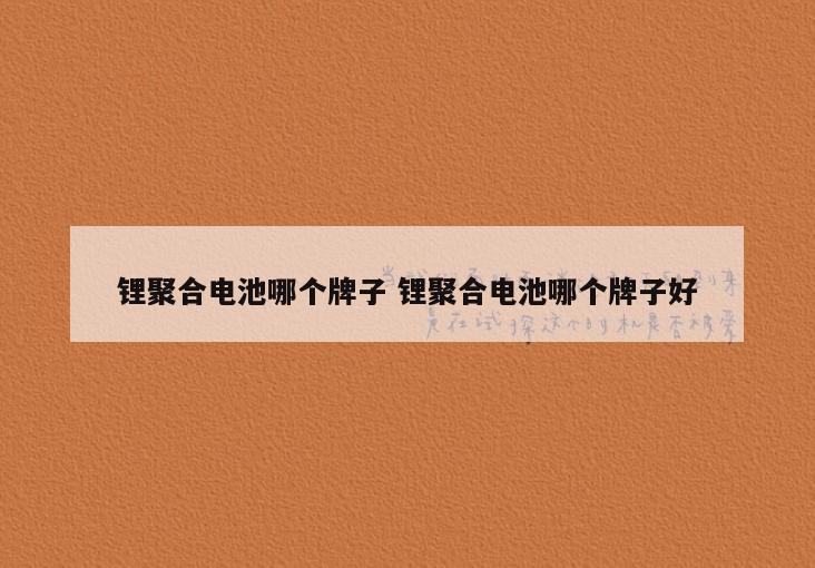 锂聚合电池哪个牌子 锂聚合电池哪个牌子好