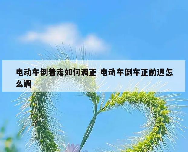 电动车倒着走如何调正 电动车倒车正前进怎么调