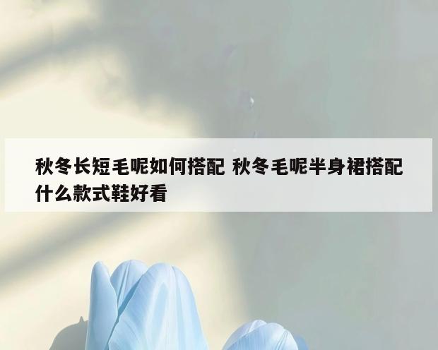 秋冬长短毛呢如何搭配 秋冬毛呢半身裙搭配什么款式鞋好看