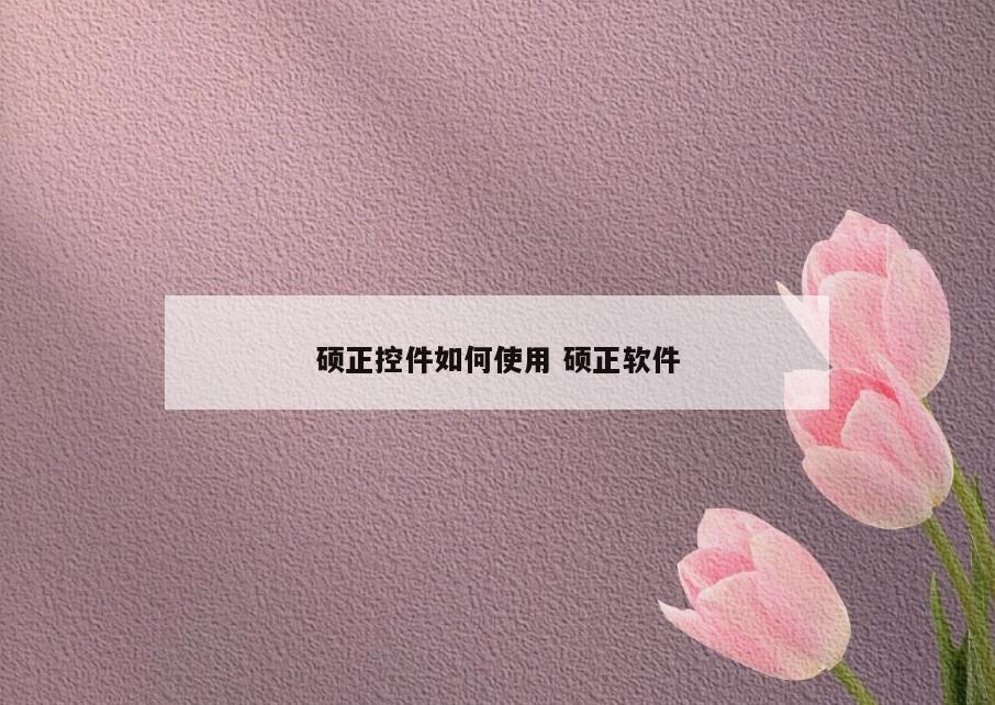 硕正控件如何使用 硕正软件