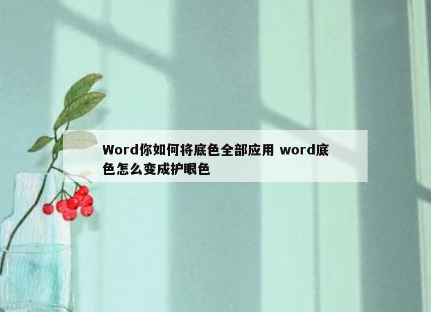 Word你如何将底色全部应用 word底色怎么变成护眼色
