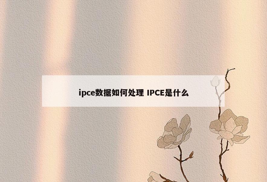 ipce数据如何处理 IPCE是什么