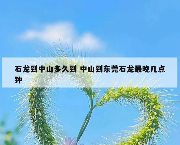 石龙到中山多久到 中山到东莞石龙最晚几点钟