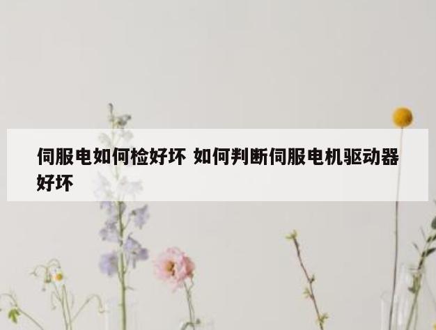 伺服电如何检好坏 如何判断伺服电机驱动器好坏