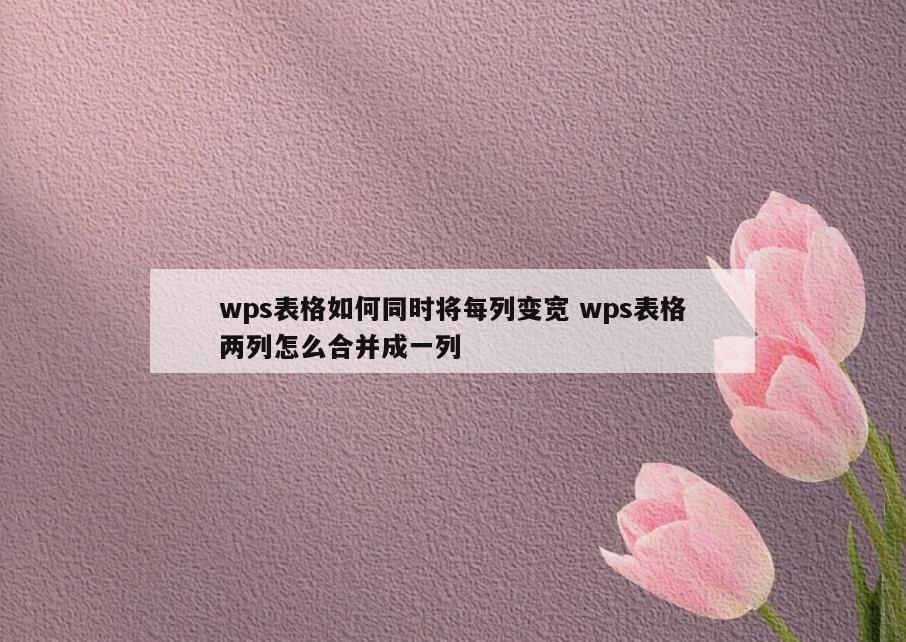 wps表格如何同时将每列变宽 wps表格两列怎么合并成一列