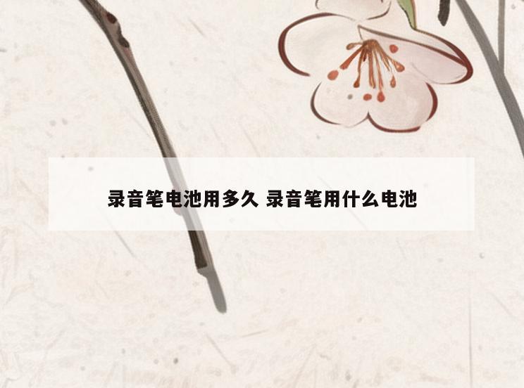 录音笔电池用多久 录音笔用什么电池