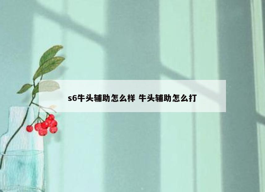 s6牛头辅助怎么样 牛头辅助怎么打