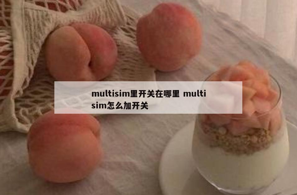 multisim里开关在哪里 multisim怎么加开关