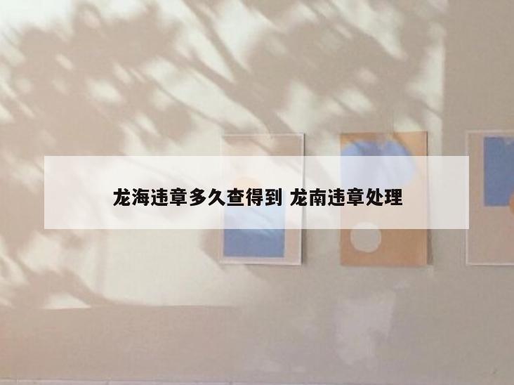 龙海违章多久查得到 龙南违章处理