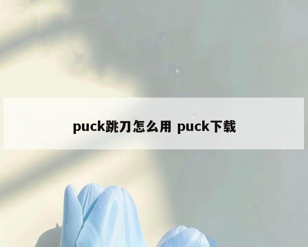 puck跳刀怎么用 puck下载