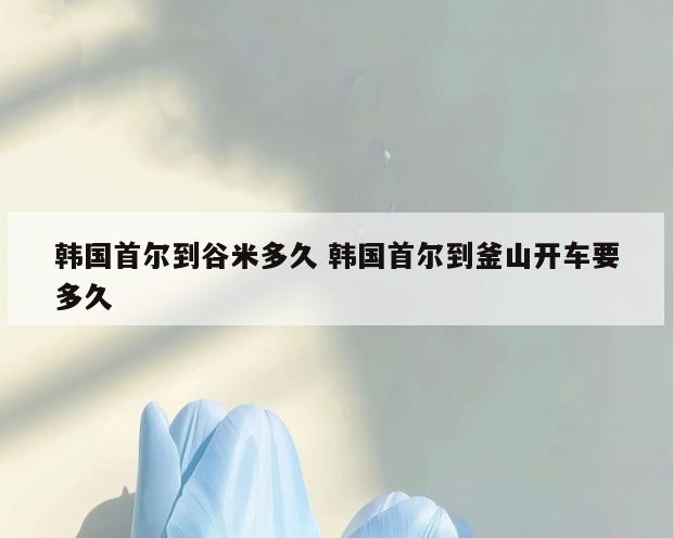 韩国首尔到谷米多久 韩国首尔到釜山开车要多久