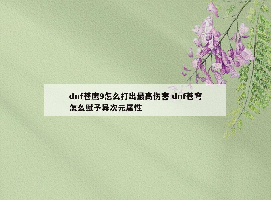 dnf苍鹰9怎么打出最高伤害 dnf苍穹怎么赋予异次元属性