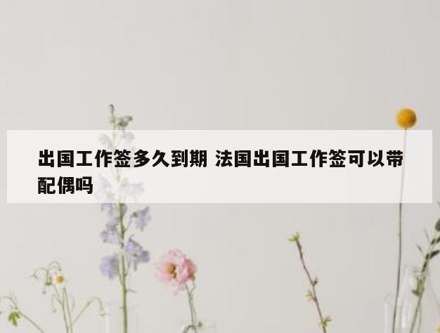 出国工作签多久到期 法国出国工作签可以带配偶吗