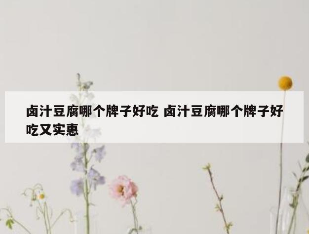 卤汁豆腐哪个牌子好吃 卤汁豆腐哪个牌子好吃又实惠
