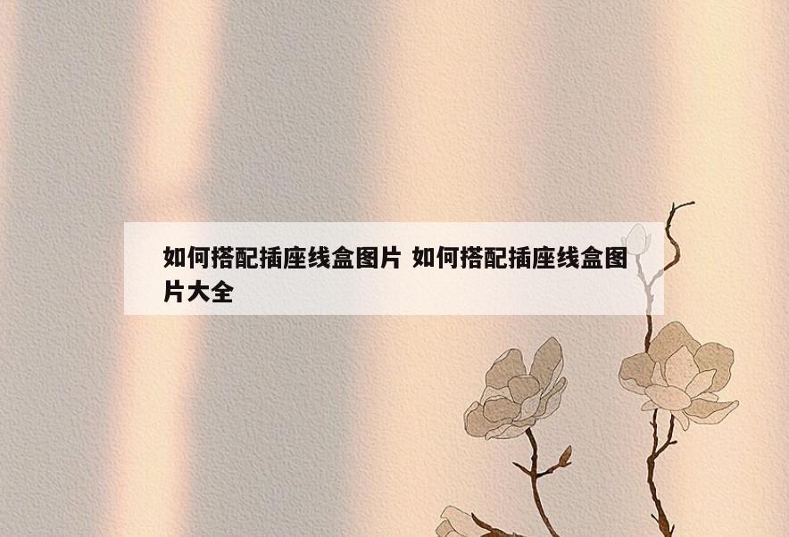 如何搭配插座线盒图片 如何搭配插座线盒图片大全
