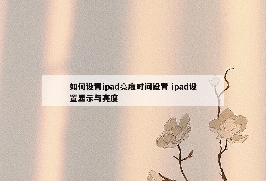 如何设置ipad亮度时间设置 ipad设置显示与亮度