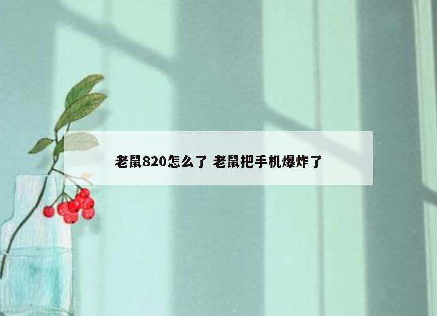 老鼠820怎么了 老鼠把手机爆炸了