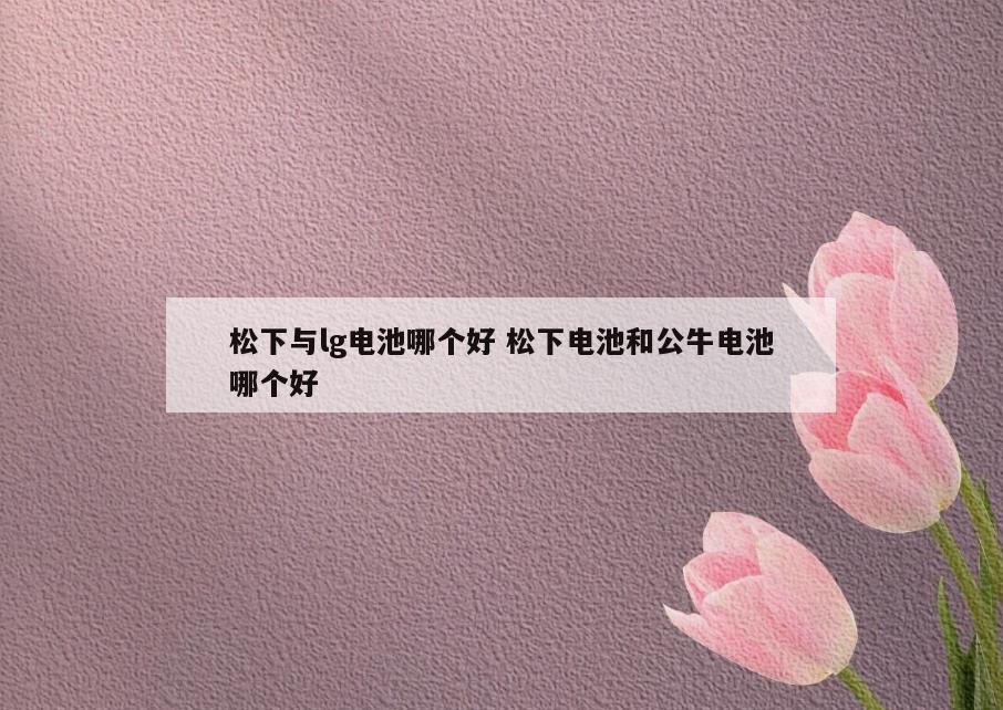 松下与lg电池哪个好 松下电池和公牛电池哪个好