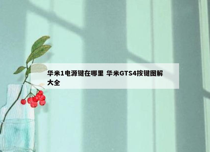 华米1电源键在哪里 华米GTS4按键图解大全