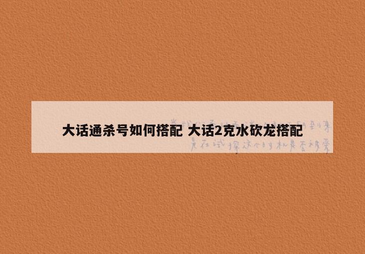 大话通杀号如何搭配 大话2克水砍龙搭配