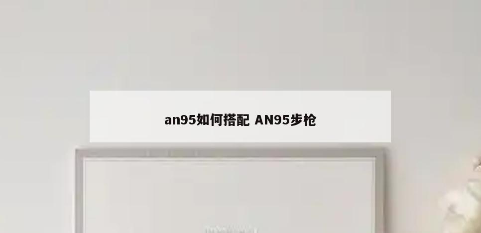 an95如何搭配 AN95步枪