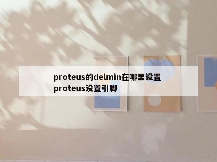 proteus的delmin在哪里设置 proteus设置引脚
