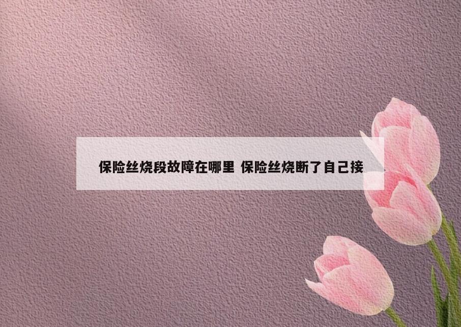 保险丝烧段故障在哪里 保险丝烧断了自己接