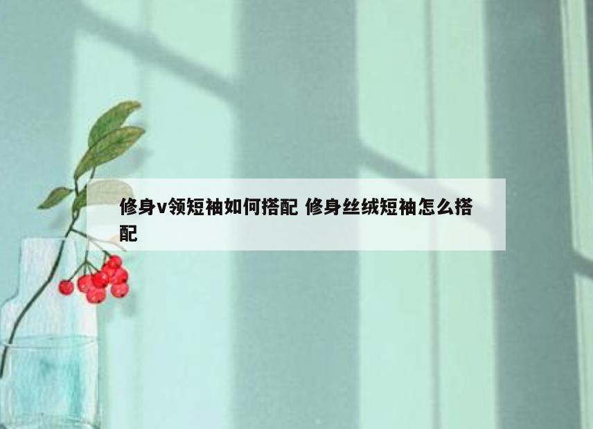修身v领短袖如何搭配 修身丝绒短袖怎么搭配