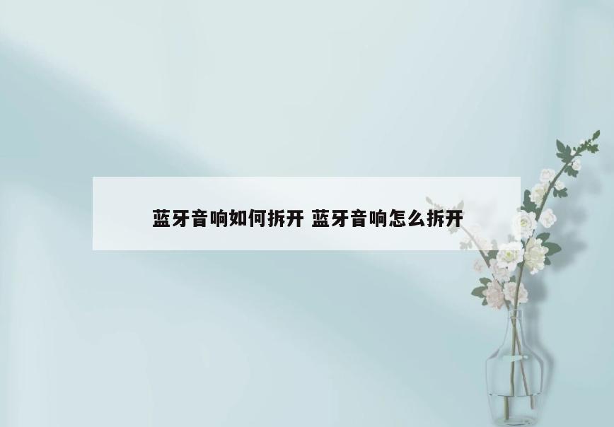 蓝牙音响如何拆开 蓝牙音响怎么拆开