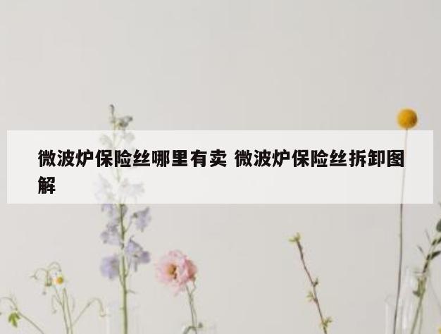微波炉保险丝哪里有卖 微波炉保险丝拆卸图解