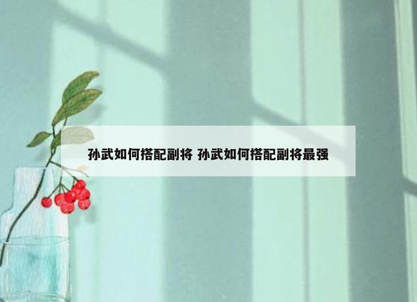 孙武如何搭配副将 孙武如何搭配副将最强