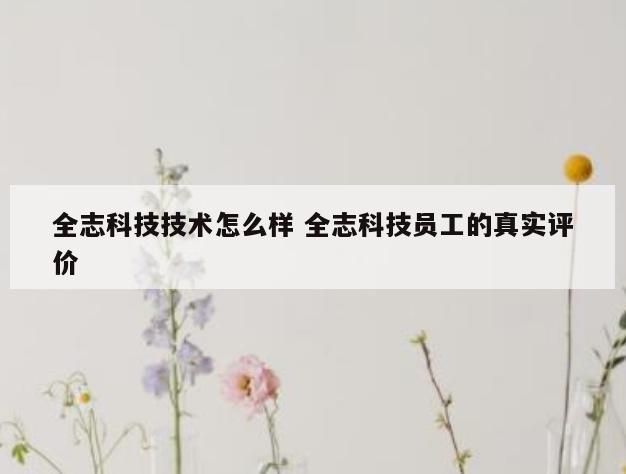全志科技技术怎么样 全志科技员工的真实评价