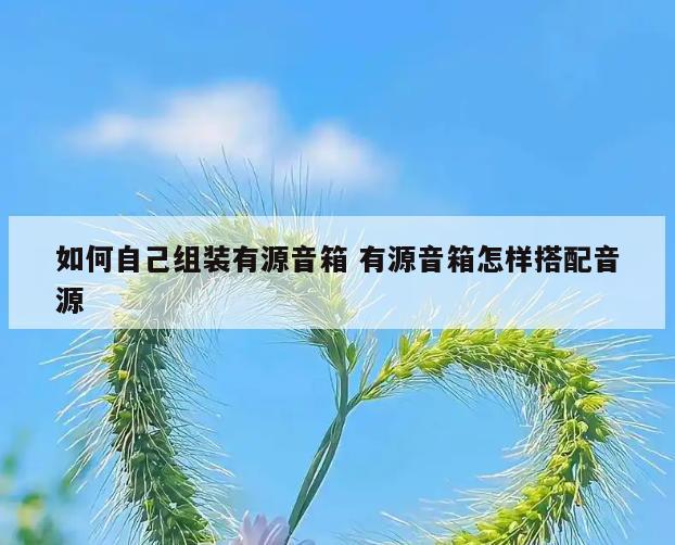 如何自己组装有源音箱 有源音箱怎样搭配音源