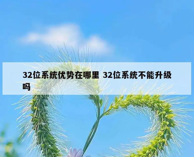 32位系统优势在哪里 32位系统不能升级吗