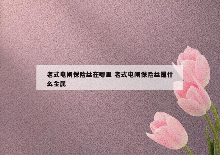 老式电闸保险丝在哪里 老式电闸保险丝是什么金属