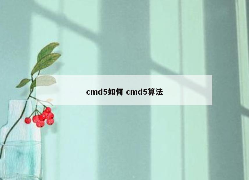 cmd5如何 cmd5算法