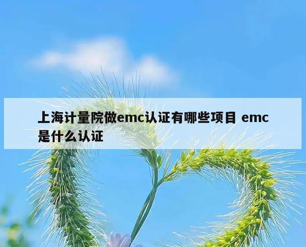 上海计量院做emc认证有哪些项目 emc是什么认证