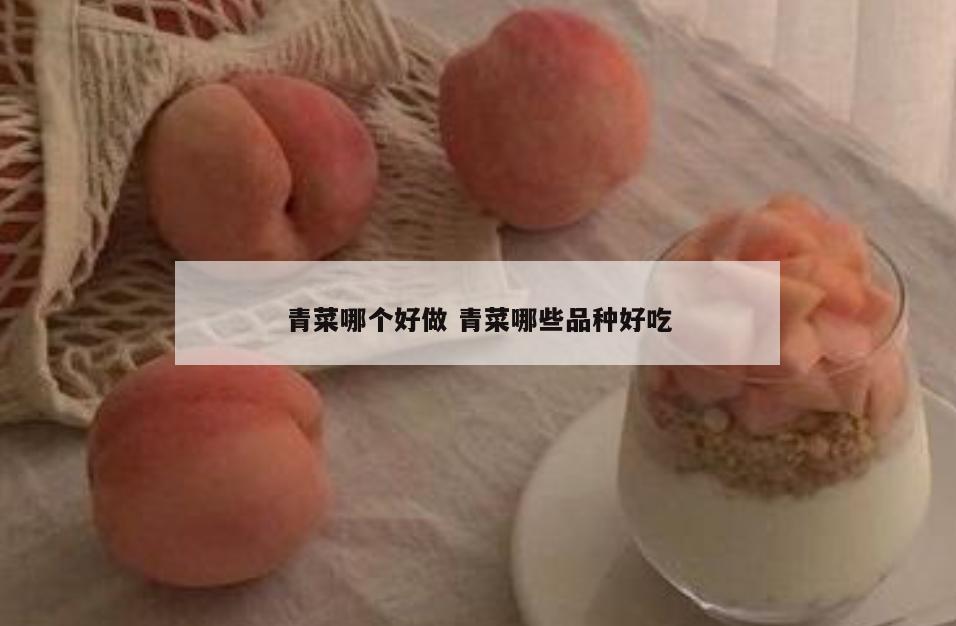 青菜哪个好做 青菜哪些品种好吃